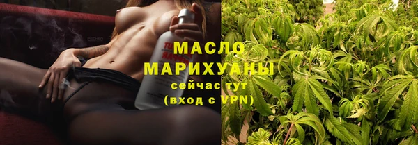 молекула духа Пересвет